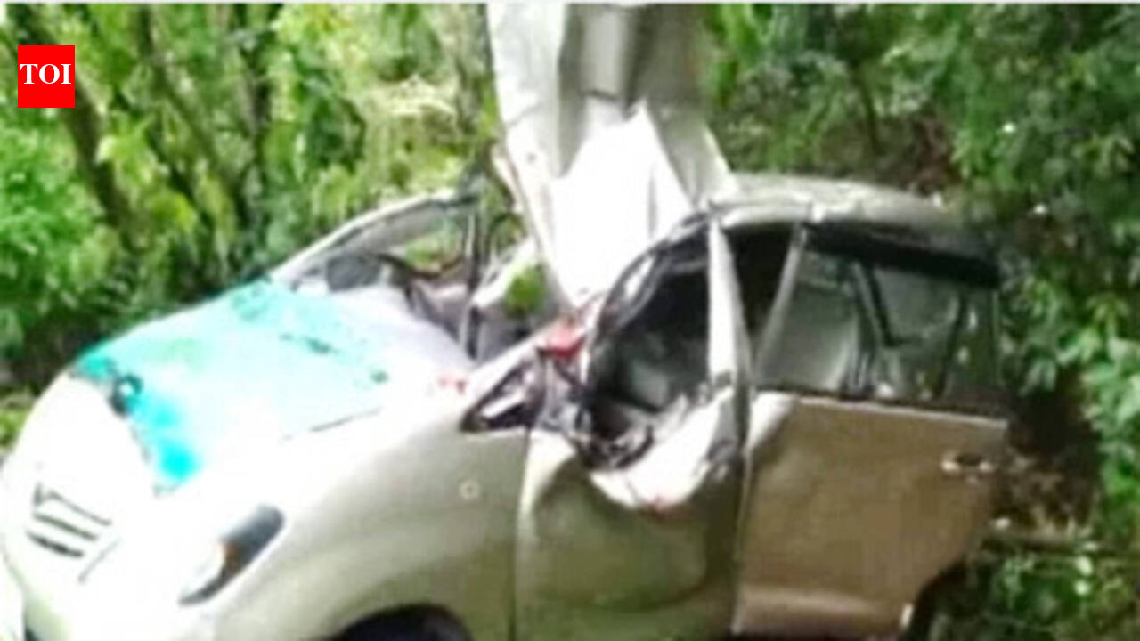 Uttarakhand: Three die as tree falls on SUV