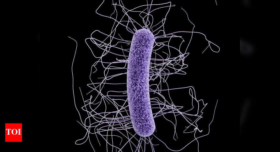 Bacteria hair make excellent electrical wires, study finds Times of India