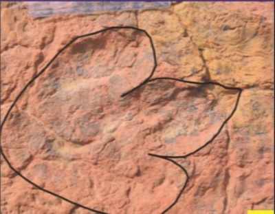 150 million-year-old dino footprints found in Rajasthan