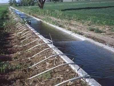 Agriculural output to double with new irrigation schemes