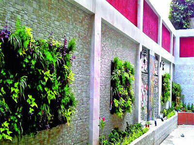 Grow your own vertical garden at home