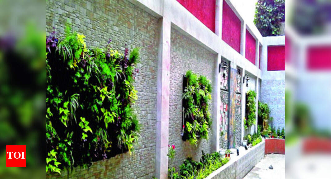 Grow Your Own Vertical Garden At Home Times Of India - Hanging Garden Ideas Malayalam Grow Your Own Vertical Garden At Home Times Of India - Hanging Garden Ideas Malayalam