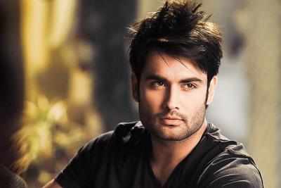 I am not a per day daily soap actor: Vivian Dsena