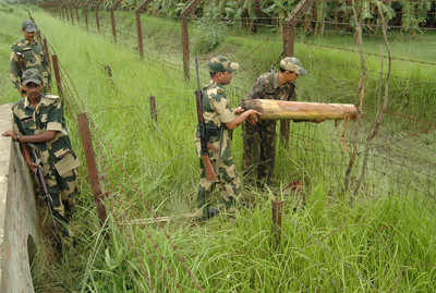 BSF shoots dead 2 cattle smugglers in West Bengal