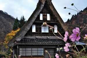 The historic villages of Shirakawa and Gokayama