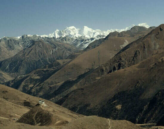 Dzuluk