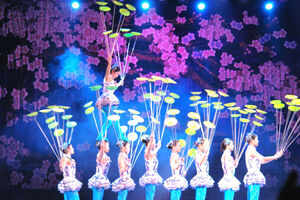 Watch the acrobatic show at Chaoyang Theatre