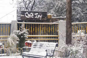 Cafe Ivy&nbsp;