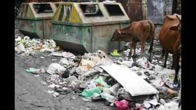 Trash collection points in mess, hits Swachh drive in Gurgaon