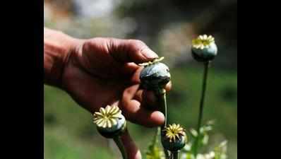 GRP Mughalsarai nabs one with 8 kg opium