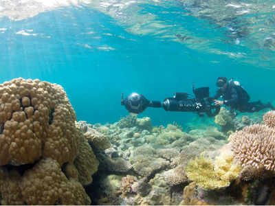 Experts demand more effort to save coral reefs
