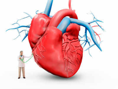 Scientists develop 'virtual heart' to model heart failure