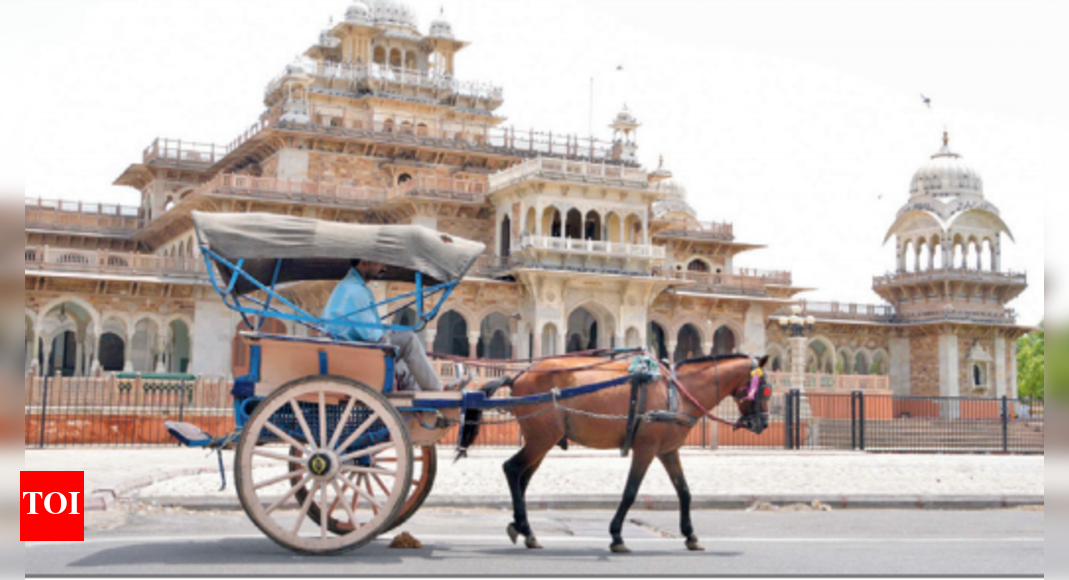 Old city Tongas just horsing around! | Jaipur News - Times of India