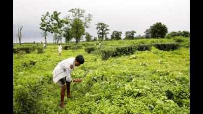 Adivasis hit streets against killing of tea garden worker