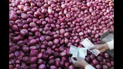 After glut, onion shortage scare looms large