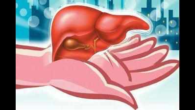 Liver travels 210 kilometres in three-and-a-half hours