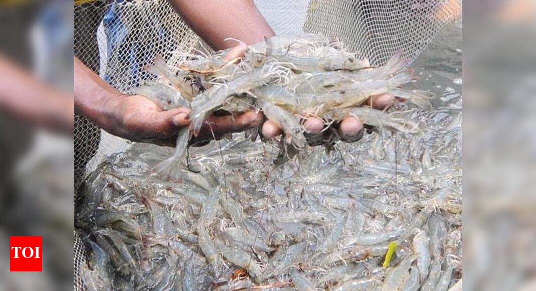 Odisha inks pact with WorldFish to boost fish production - Times of India Odisha inks pact with WorldFish to boost fish production - Times of India