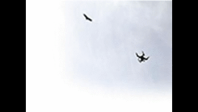 Shoot at Sholay site threatens Ramanagara vultures