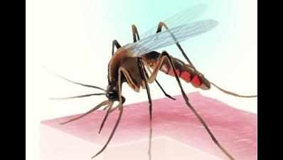 64 cases of dengue in June
