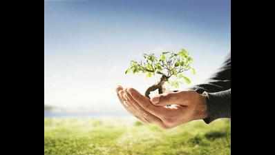 Environmentalists plant trees in memory of Kargil War heroes