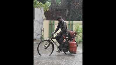 Heavy rain lashes Amreli, Gir-Somnath; three killed