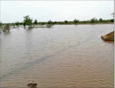 Barren land turns into a lake, Ramsar villagers show the way