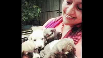 Pet trends: Indian dogs find their way into Bengalureans' hearts and homes