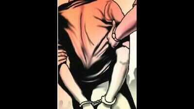 Rohtak man held for conning doctor with Dubai dream