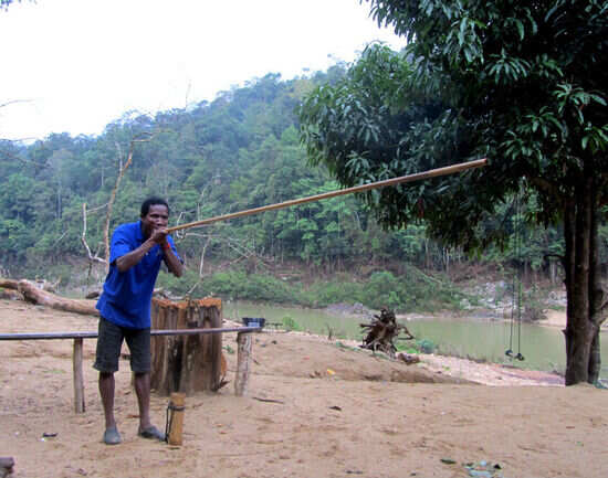 Taman Negara: Malaysia&rsquo;s wild side