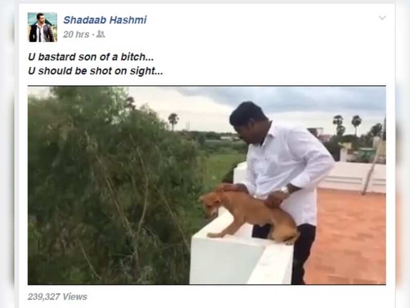 Celebs lash out as video of man flinging dog off roof goes viral