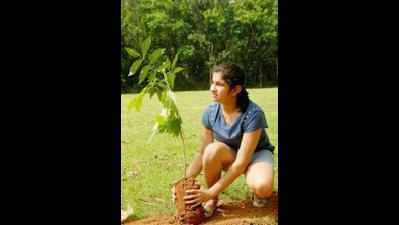 Noida and Greater Noida launch green drive, plant 3000 trees