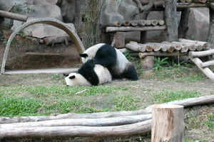 Chiang Mai Zoo & Aquarium
