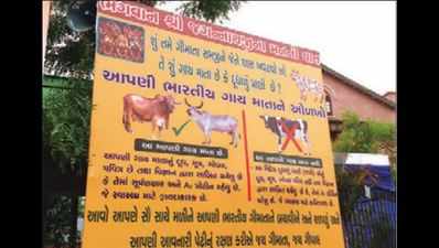 'Ignore firang breeds; only Indian cows can be Mata'