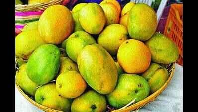 Luscious mango makes sewain yummier