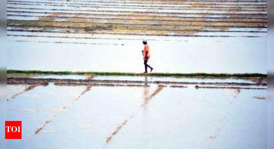 Experts dwell on insectpest management in kharif crops at PAU kisan