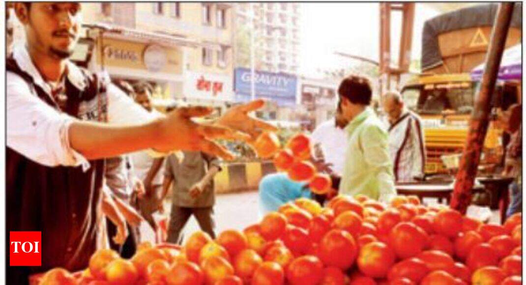 Tomato prices soar to Rs80 per kg Jaipur News Times of India