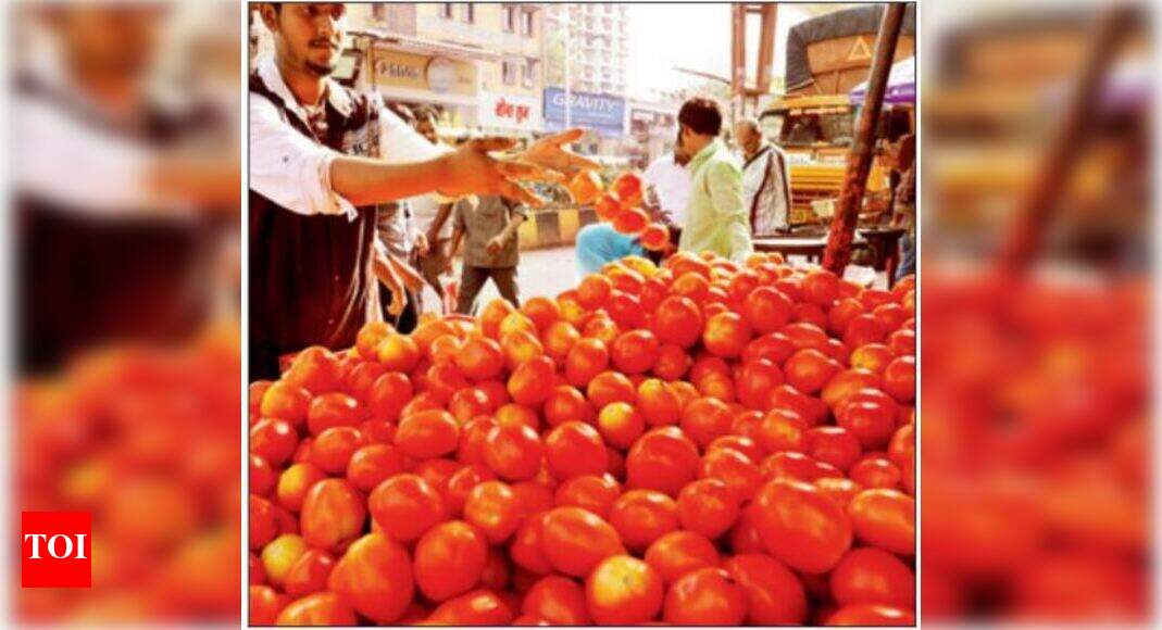 Tomato prices soar to Rs80 per kg Jaipur News Times of India