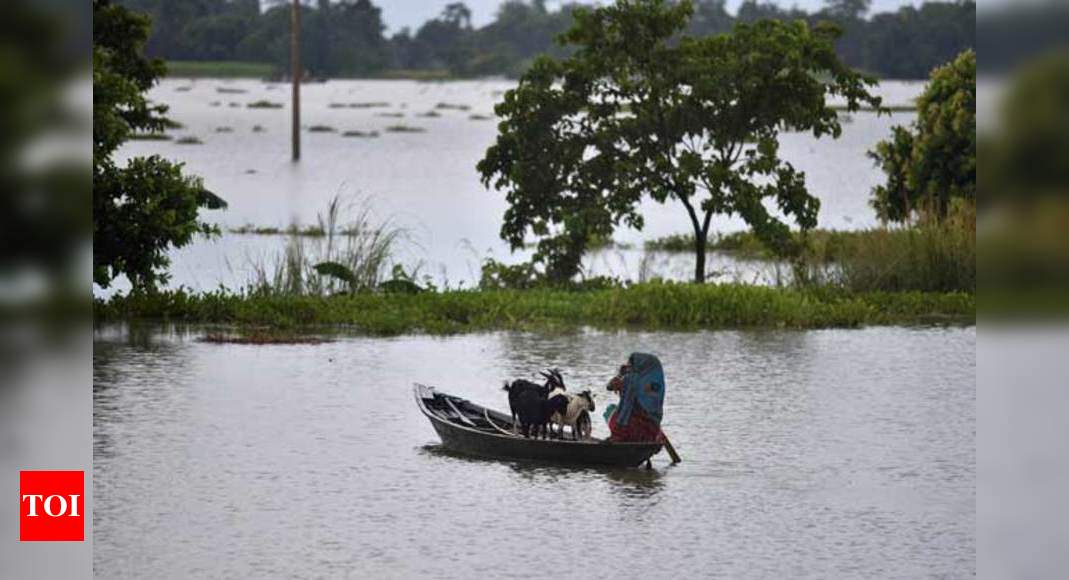 Flood In Assam Turns Grim On Sunday Guwahati News Times Of India 3141