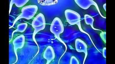 Widow asks doctors for dead hubby's sperm to have baby