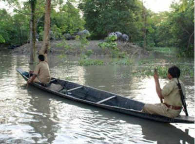 Assam: Flood water submerges 60% of Pobitora sanctuary, habitat of one-horn rhinoceros