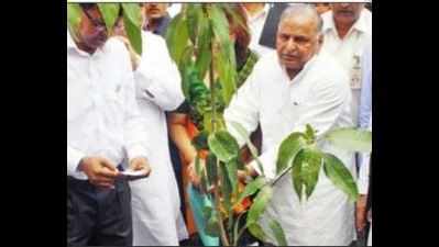 With trees, Mulayam plants word on SP 'achievements'