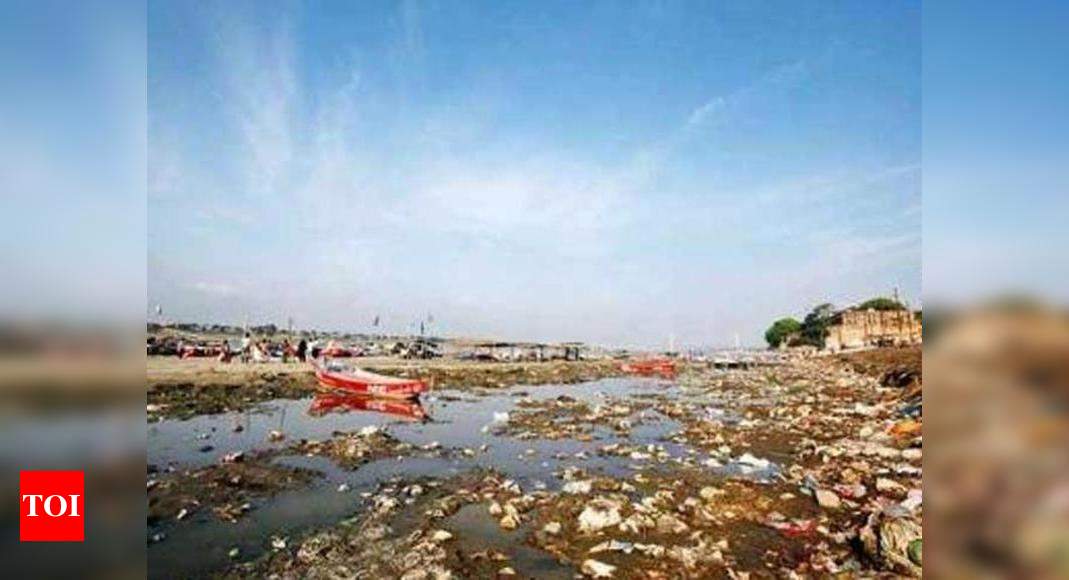 Effluent major source of pollution in Tapi | Surat News - Times of India