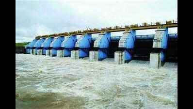 Koyna dam receives over 8 TMC water in 12 hours