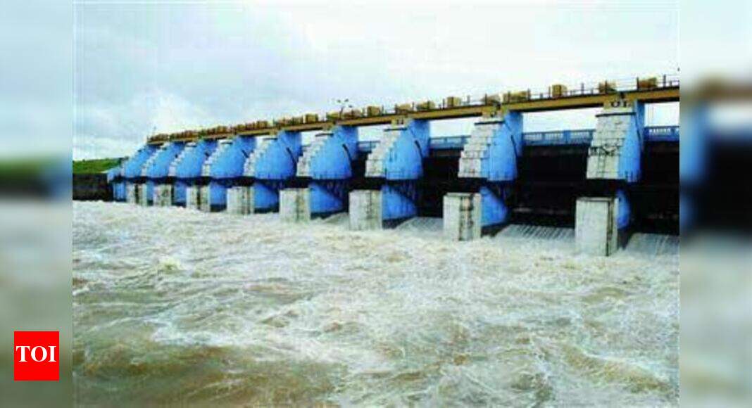 Koyna dam receives over 8 TMC water in 12 hours Kolhapur News Times