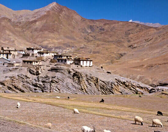 10 offbeat things to do in Spiti