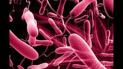 Cholera outbreak in Bhosari, 15 in hospital