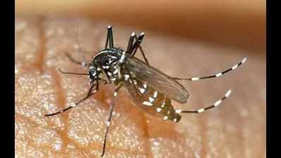 Typhoid, malaria cases spike