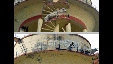 Bull has its Veeru moment atop 60ft water tank
