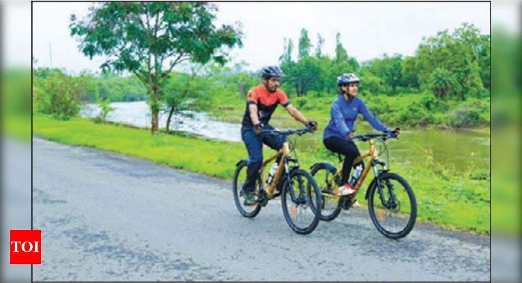 Godrej bamboo best sale bicycle price