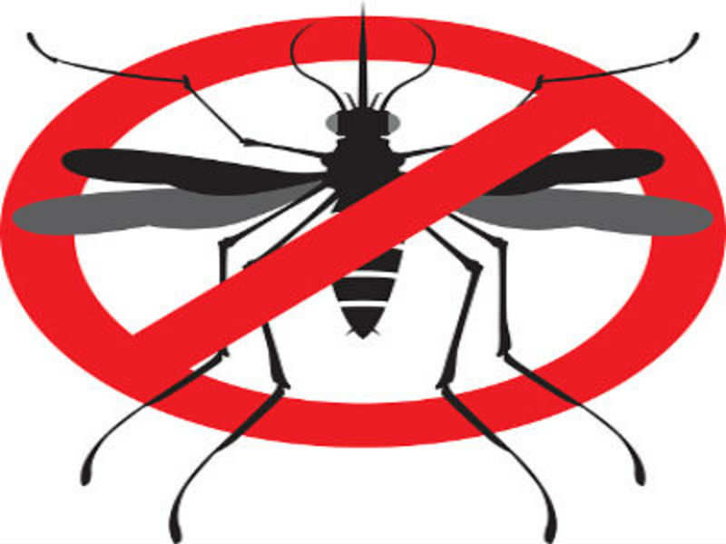 Now reporting dengue, malaria cases mandatory - Times of India